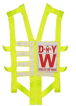 front yellow vest png