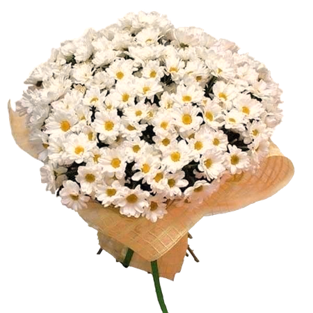 daisy flower bouquet png