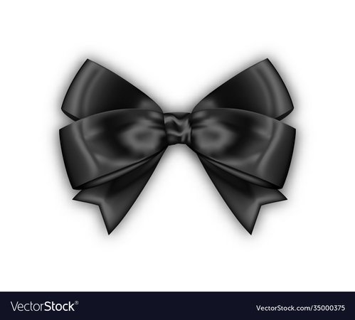 Beautiful realistic black bow for your design Vector Image