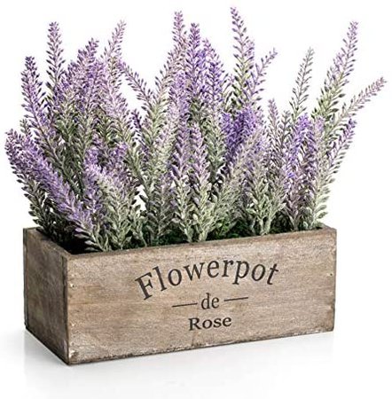 Amazon.com: Velener Artificial Flower Potted Lavender Plant for Home Decor (Wooden Tray, 9" Long) : Home & Kitchen