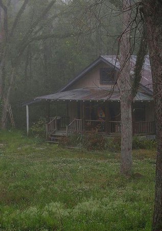 Forest cottage