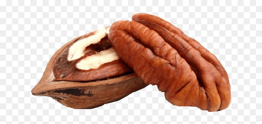 pecan nuts png