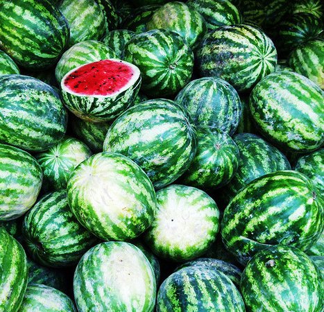 watermelon | tumblr | (itsgettingtooemotional)