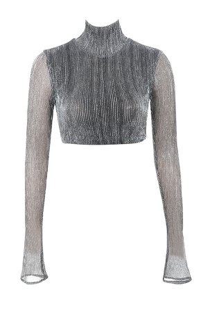 Clothing : Tops : 'Tamara' Silver Lurex Cropped Top
