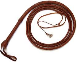 brown whip - Google Search