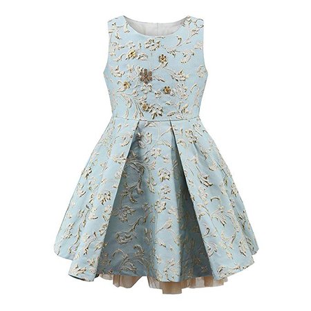 Amazon.com: Girls 5 Golden Metal Flowers Decoration Pink Party Dress for Girls Light Blue Dresses Clothes: Clothing