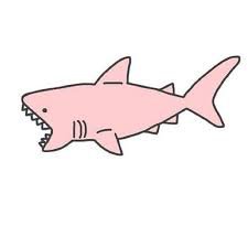 pink shark