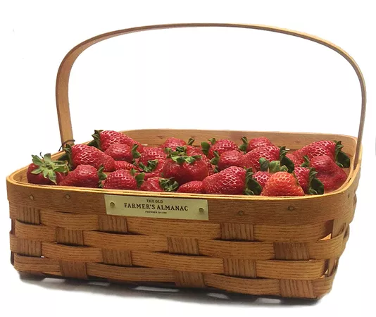 Gardening Basket