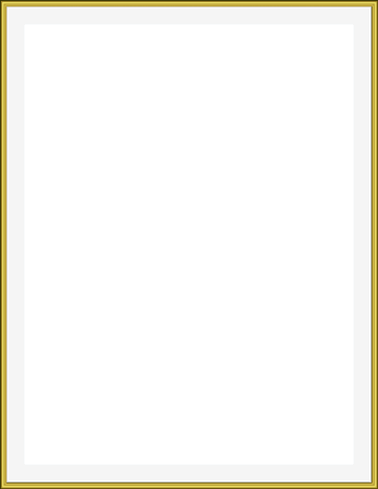 thin_gold_frame.png (850×1100)