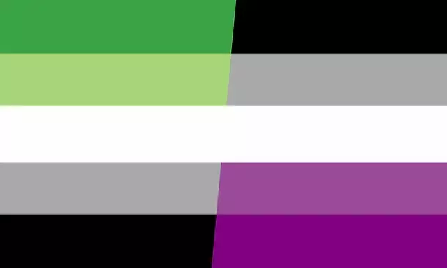 aromantic and asexual flag