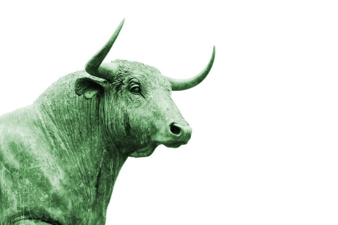 bull head no background - Google Search