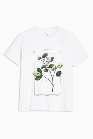 Violette Floral T-Shirt | Topshop