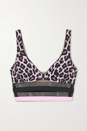 Zenaya Mesh-paneled Leopard-print Bikini Top - Pink