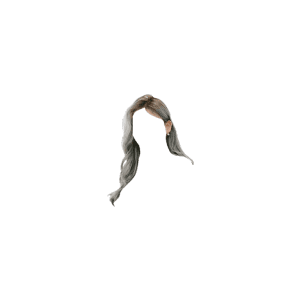 Gray Hair PNG