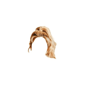 Blonde Gold Hair Ponytail PNG