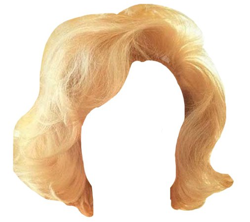 1970s Blonde Hair 🌟
