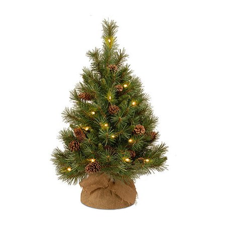 National Tree Co. 3 Foot Pine Burlap Pre-Lit Christmas Tree