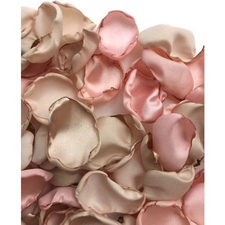 Blush pink, cream and champagne flower petals, pink cream tan rose