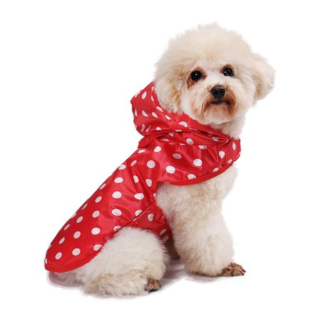 dog in the red rain coat - Google Search