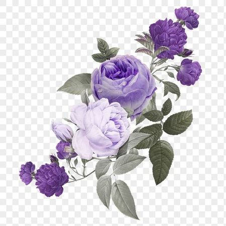 purple flowers graphic