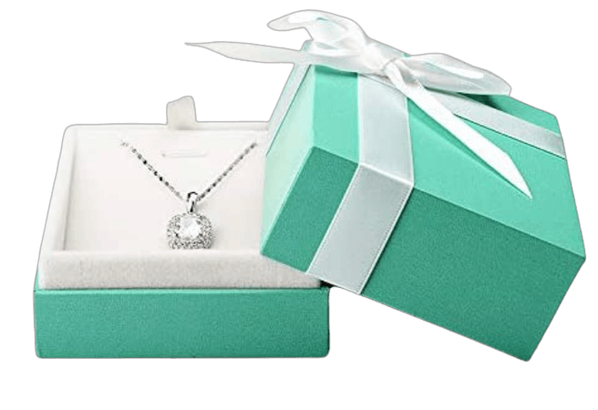 Oirlv Velvet Pendant Necklace Gift Box Long Chain Display Case