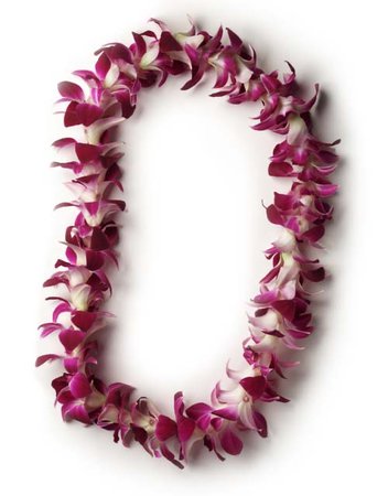 Hawaiian Lei