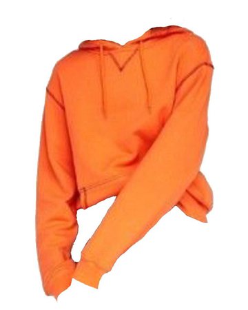 orange dickies hoodie
