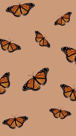 orange buterflys