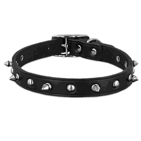 Black Leather Spike Dog Collar PNG