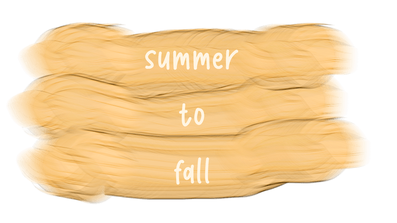 summer to fall text.