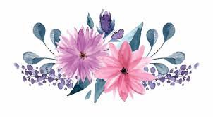watercolor flowers png - Google Search