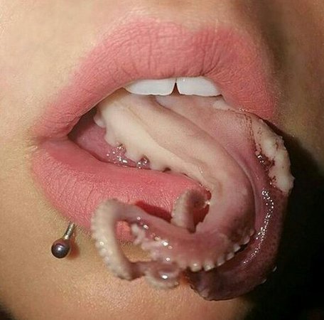 octopus mouth