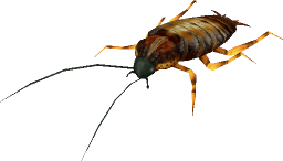 prehistoric bugs – Google Sök