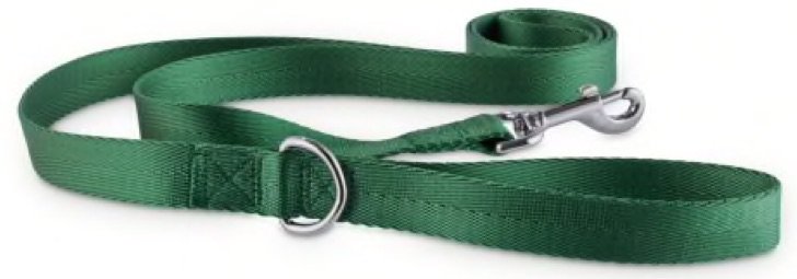 Good2Go Adjustable Dark Green Dog Leash, Medium/Large