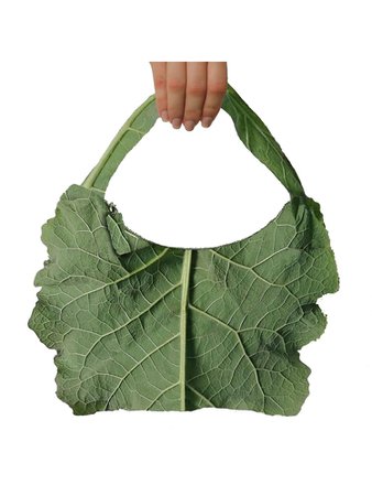 salad bag