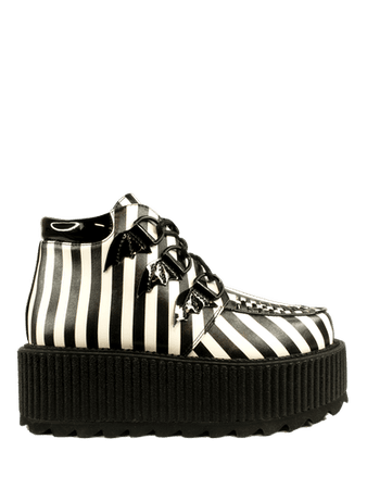 Striped Creepers