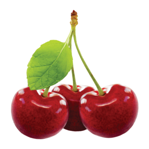 red cherry png filler
