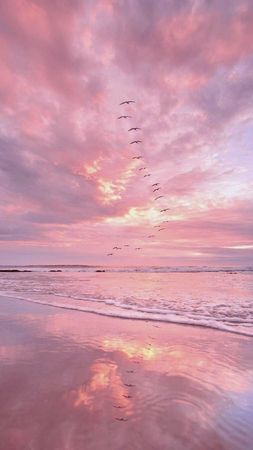 beautiful ocean and the sky pink