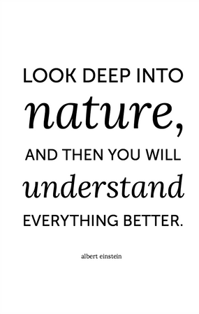 Nature Quote