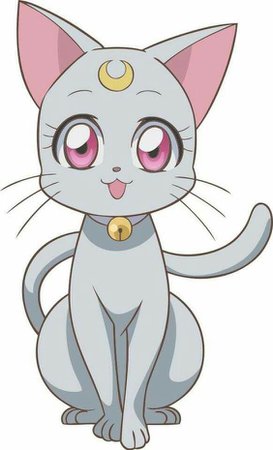 (309) Pinterest sailormoon kitten
