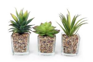 Set 3 Mini Artificial Small Succulent Cactus Cacti Plants Glass Pot Stones | eBay