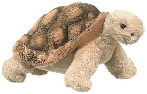 Amazon.com: Wildlife Artists Tortoise Plush Toy 8" L: Toys & Games