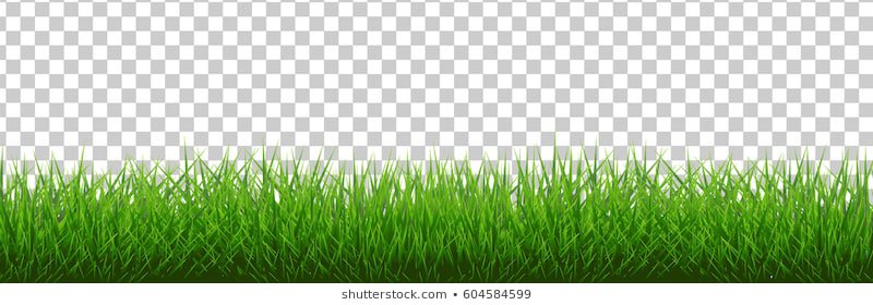 grass-border-vector-illustration-260nw-604584599.jpg (800×280)