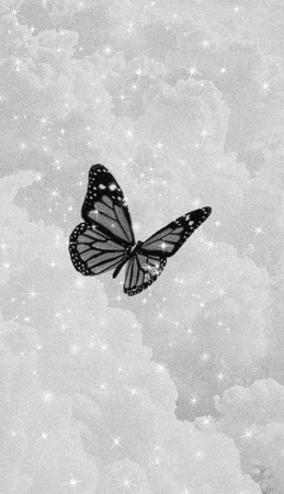 ~black butterfly~