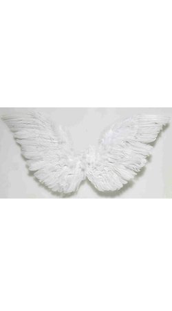 Small Angel Wings, Angel Halloween Costume, Angle Costume Wings