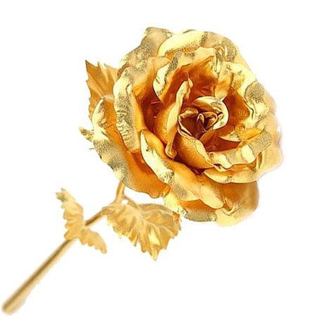 gold rose - Google Search