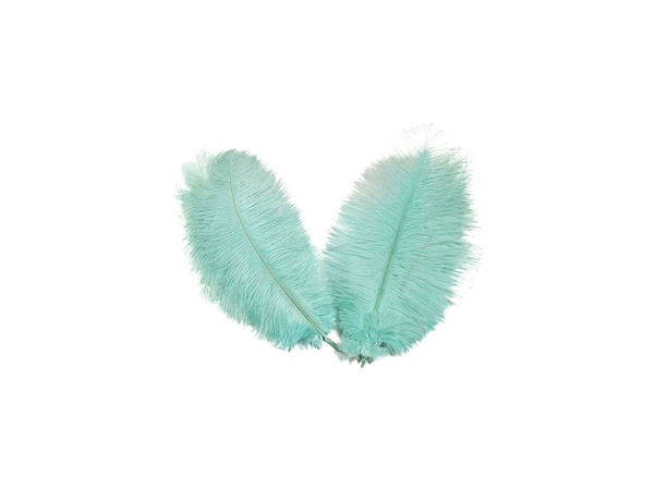 mint feathers