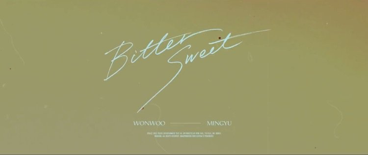 BITTER-SWEET Mingyu & Wonwoo