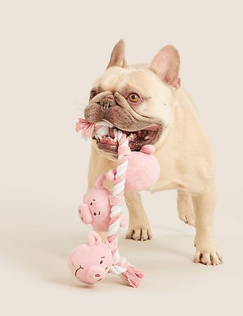Seil mit Percy Pig™-Motiv als Haustierspielzeug | M&S DE