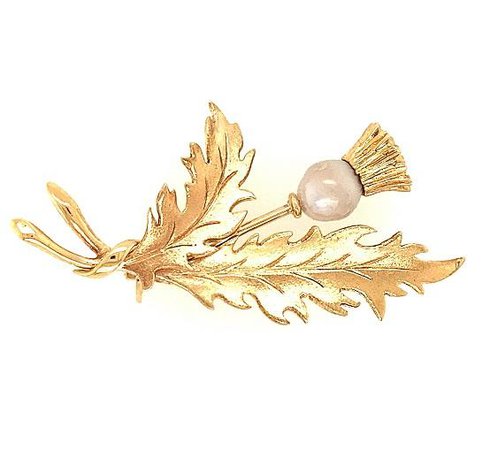 Scottish Freshwater Pearl 9ct Yellow Gold 'Thistle' Brooch – A. & G. Cairncross Limited